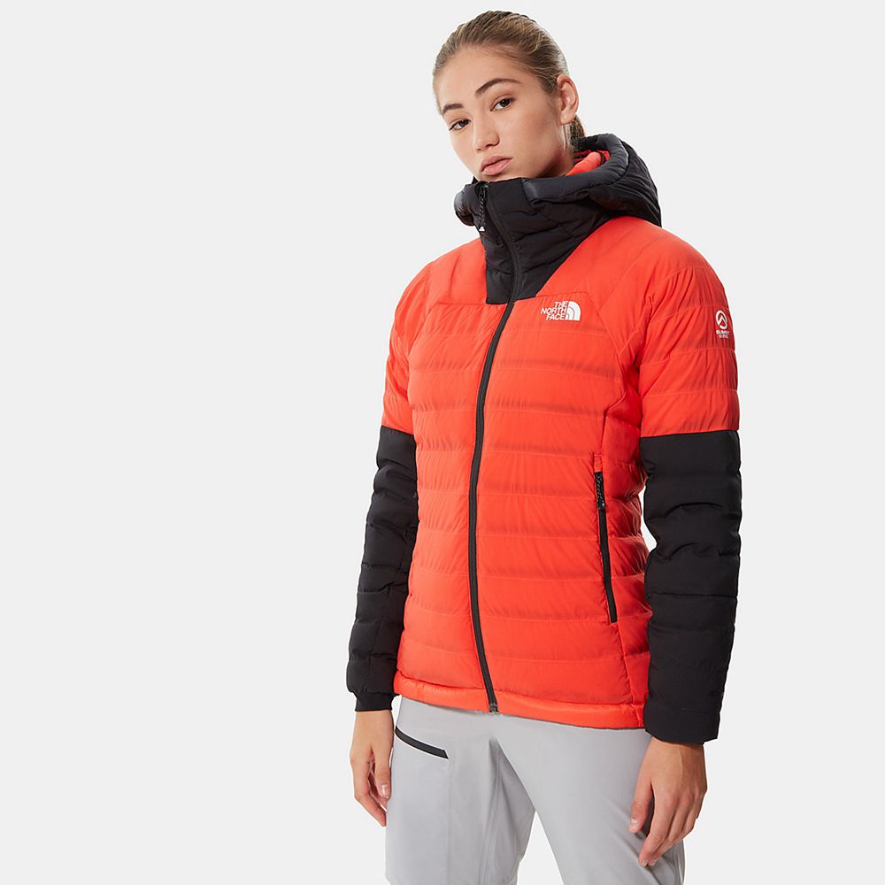 The North Face Winter Jacket Womens Australia - The North Face Summit Series™ L3 50/50 Hooded Orange